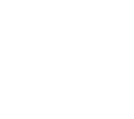 vasaloppet företag